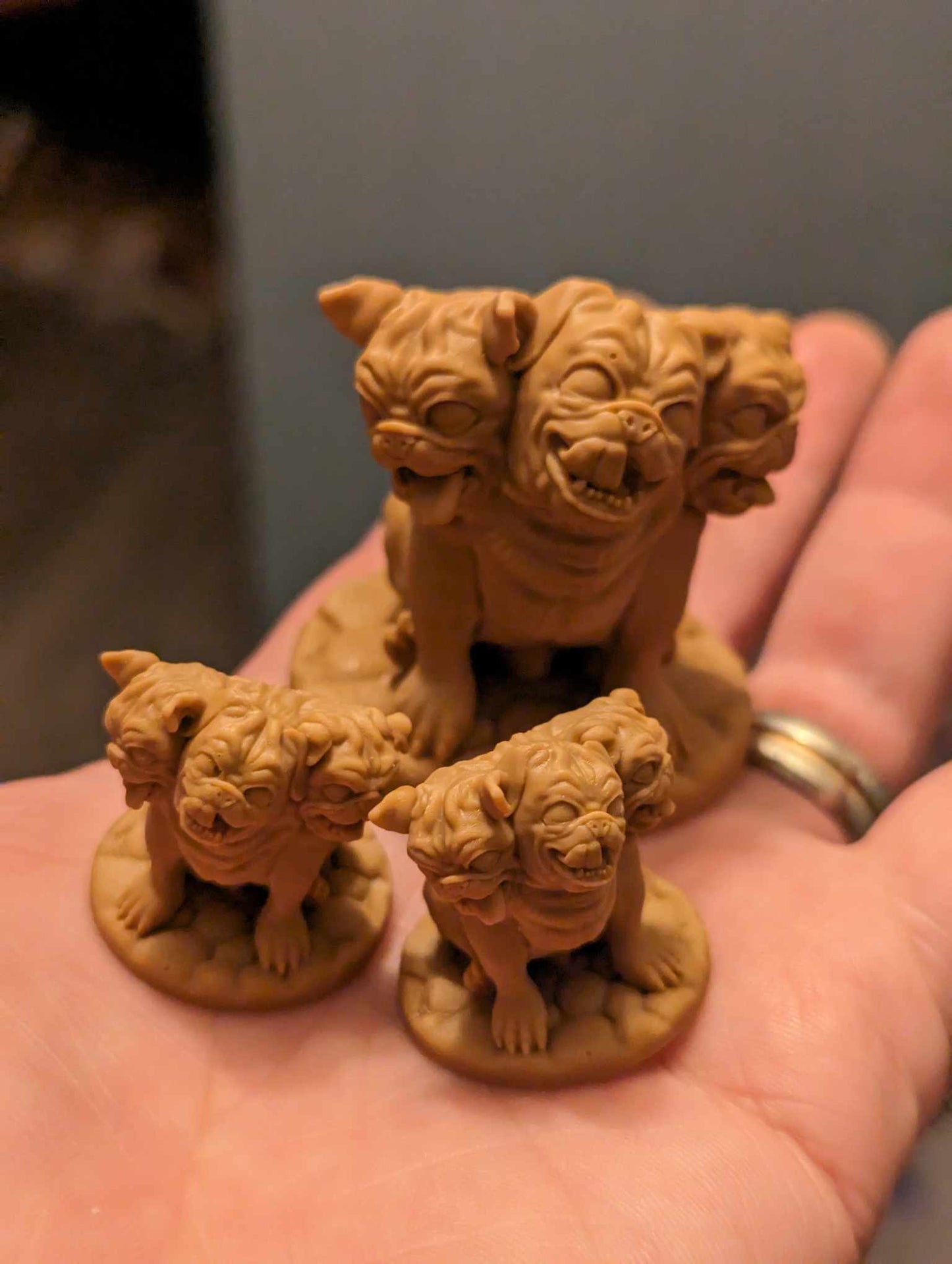 Pugerus STL for 3D Printing