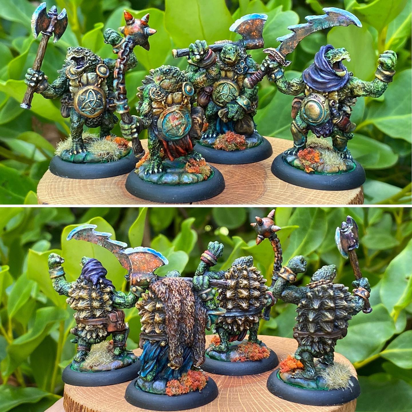 Turtle Warriors